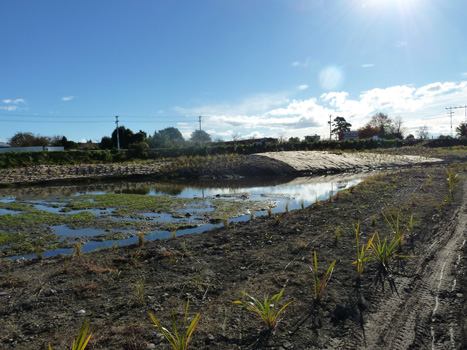 Natural Habitats Auckland